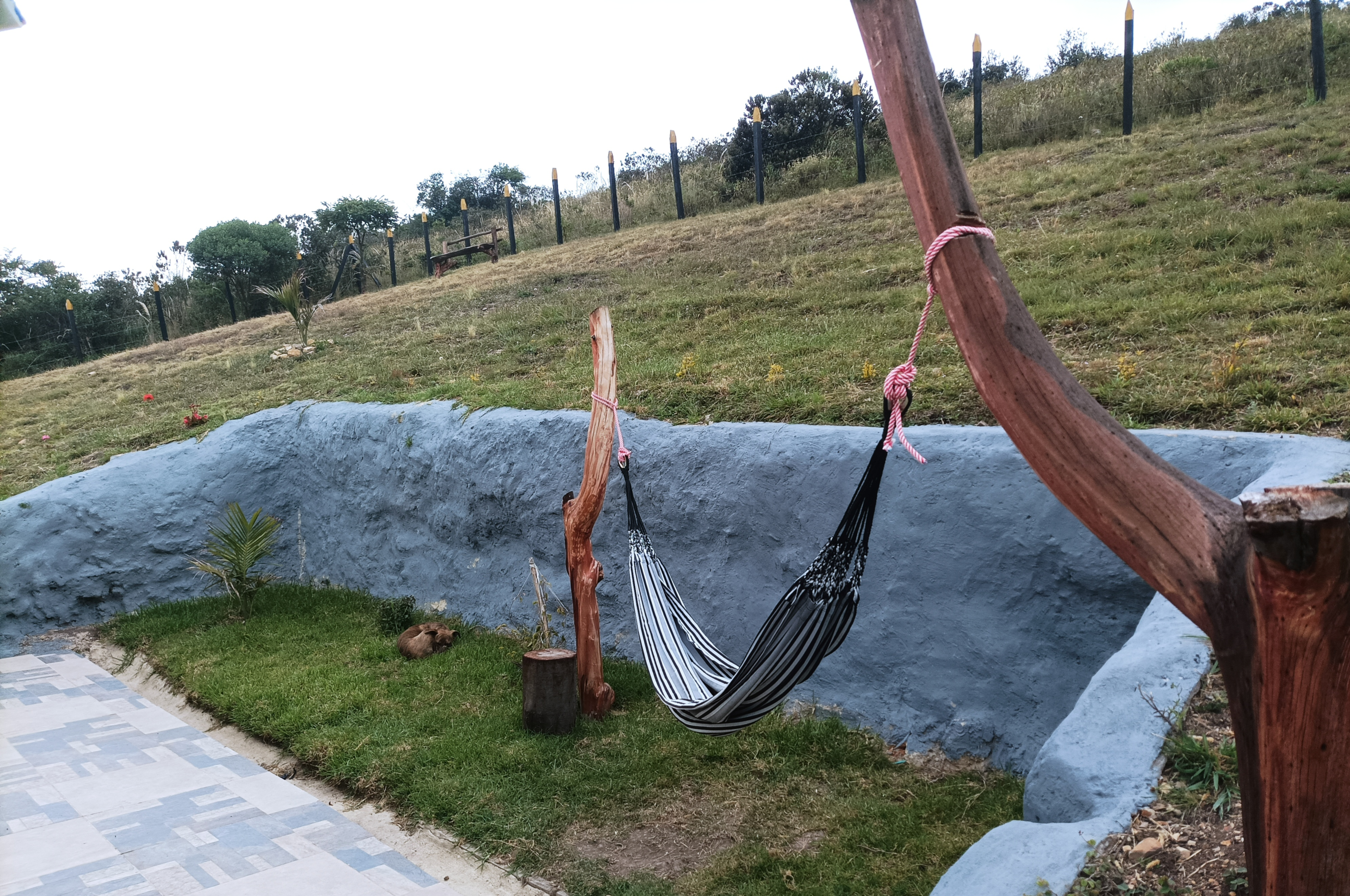 imagen finca